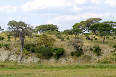 Paul Chiu photography