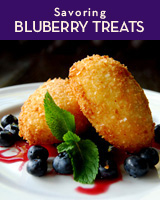 ricotta beignets with blueberries at James