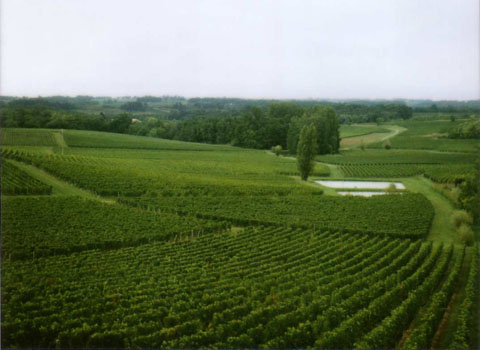 Chateau Valandra, Bordeaux