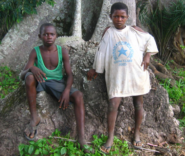 Farm Boys, Manan, Sierra Lione