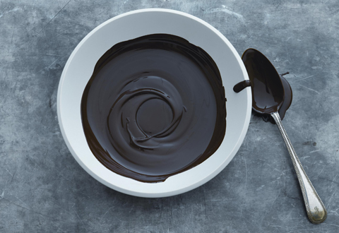 Scharffen Berger Chocolate Adventure Contest