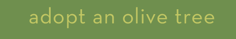 Nudo: Adopt an Olive Tree