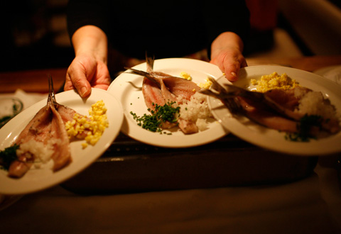 Herring Festival at Grand Central Oyster Bar