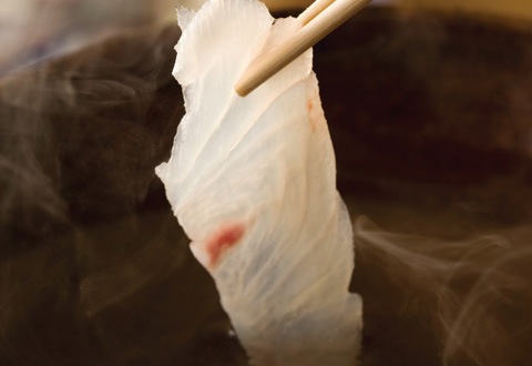 Food Sake Tokyo recommendations