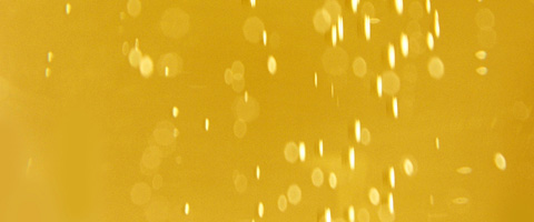 champagne bubbles by Shida Kuo