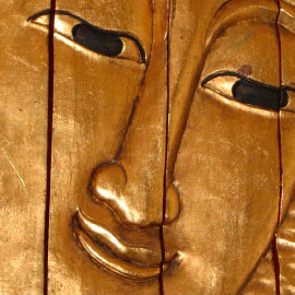 Vegetarian Samusa Soup