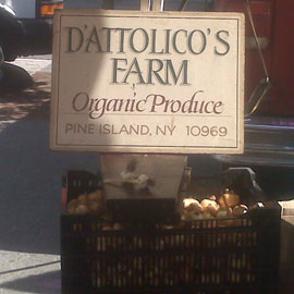 Sprouts, Onions, and Carrots