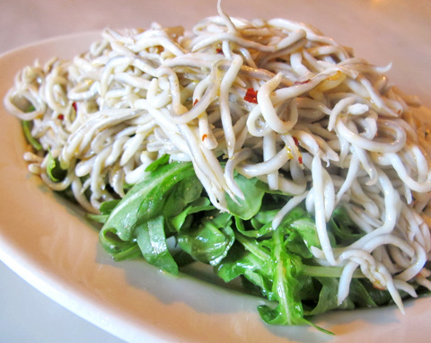 Baby Eels (Angulas) Salad with Arugula 