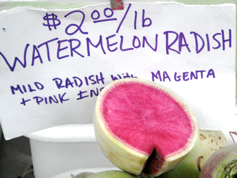 Watermelon Radishes