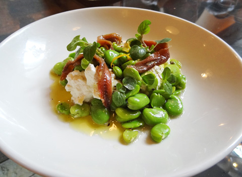 Ricotta, Early Fava, Anchovies