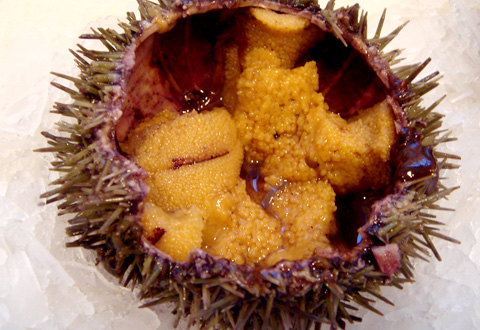 Uni