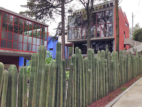 Celia Sin-Tien Cheng