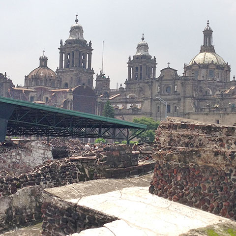 Celia Sin-Tien Cheng